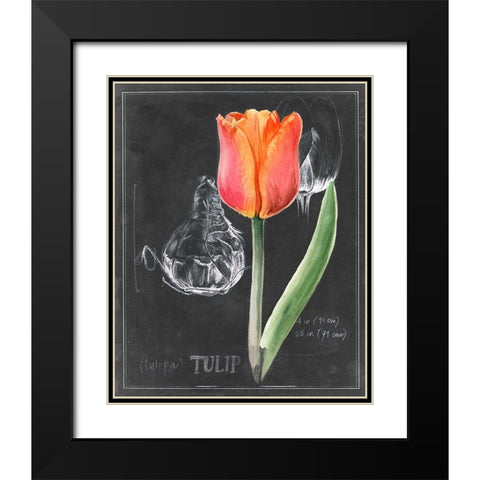 Chalkboard Flower III Black Modern Wood Framed Art Print with Double Matting by Parker, Jennifer Paxton