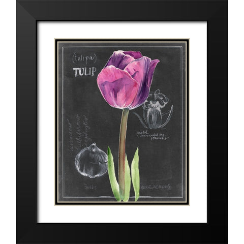 Chalkboard Flower IV Black Modern Wood Framed Art Print with Double Matting by Parker, Jennifer Paxton