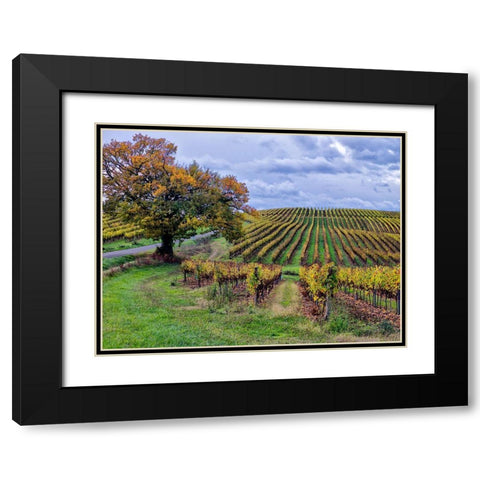 Pastoral Countryside I Black Modern Wood Framed Art Print with Double Matting by Chester, Colby