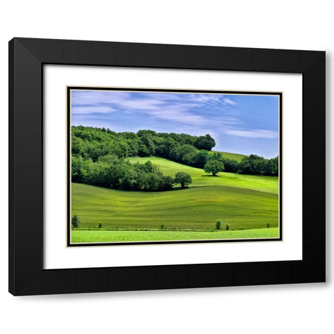 Pastoral Countryside II Black Modern Wood Framed Art Print with Double Matting by Chester, Colby