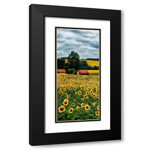 Pastoral Countryside IV - A Black Modern Wood Framed Art Print with Double Matting by Chester, Colby