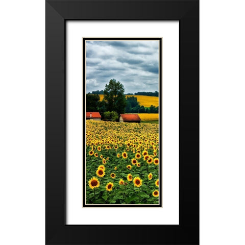 Pastoral Countryside IV - A Black Modern Wood Framed Art Print with Double Matting by Chester, Colby