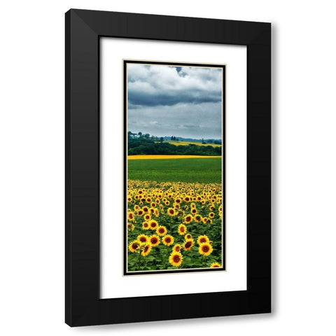 Pastoral Countryside IV - C Black Modern Wood Framed Art Print with Double Matting by Chester, Colby