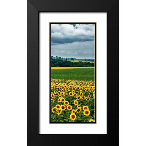 Pastoral Countryside IV - C Black Modern Wood Framed Art Print with Double Matting by Chester, Colby