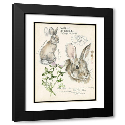 Wildlife Journals II Black Modern Wood Framed Art Print with Double Matting by Parker, Jennifer Paxton