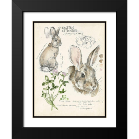 Wildlife Journals II Black Modern Wood Framed Art Print with Double Matting by Parker, Jennifer Paxton