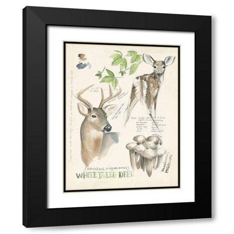 Wildlife Journals IV Black Modern Wood Framed Art Print with Double Matting by Parker, Jennifer Paxton