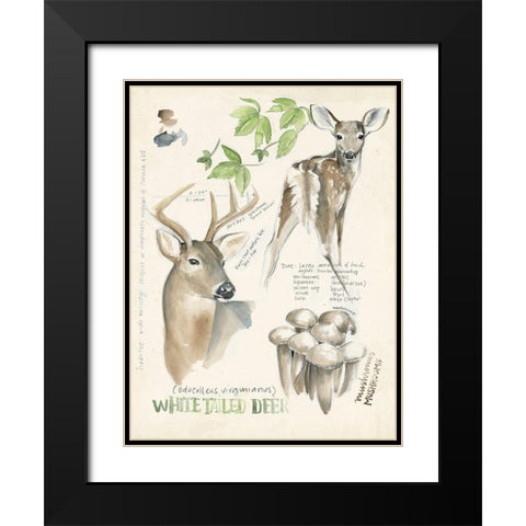 Wildlife Journals IV Black Modern Wood Framed Art Print with Double Matting by Parker, Jennifer Paxton
