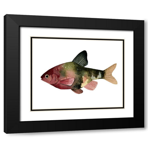 Rainbow Fish IV Black Modern Wood Framed Art Print with Double Matting by Scarvey, Emma