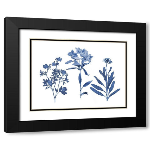 Indigo Pressed Florals II Black Modern Wood Framed Art Print with Double Matting by Studio W