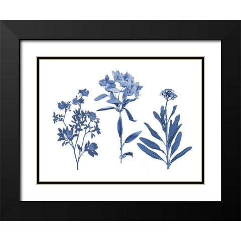 Indigo Pressed Florals II Black Modern Wood Framed Art Print with Double Matting by Studio W