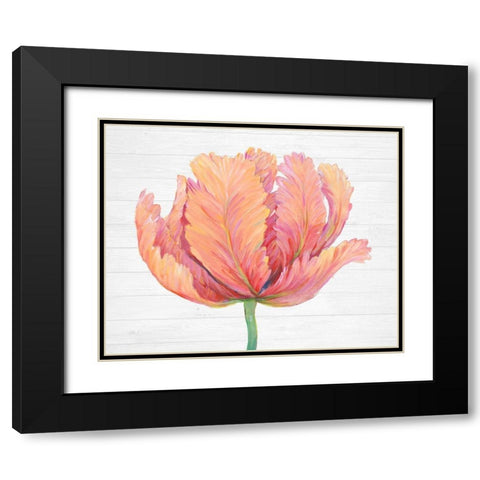 Single Pink Bloom I Black Modern Wood Framed Art Print with Double Matting by OToole, Tim