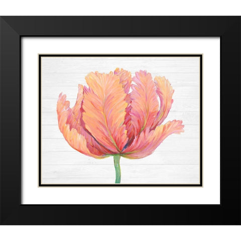 Single Pink Bloom I Black Modern Wood Framed Art Print with Double Matting by OToole, Tim