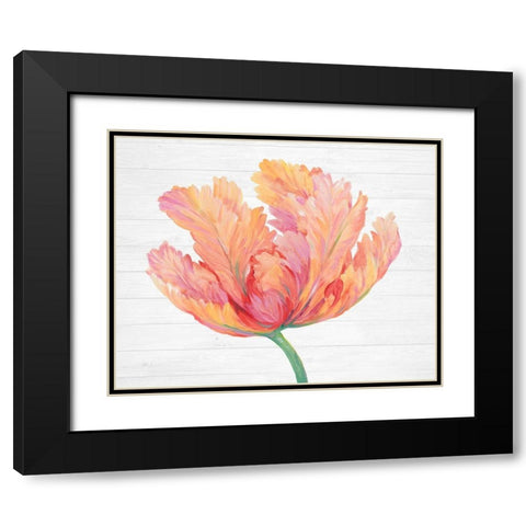 Single Pink Bloom II Black Modern Wood Framed Art Print with Double Matting by OToole, Tim