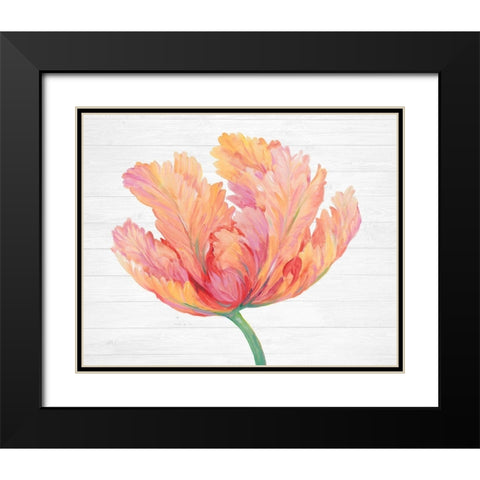 Single Pink Bloom II Black Modern Wood Framed Art Print with Double Matting by OToole, Tim