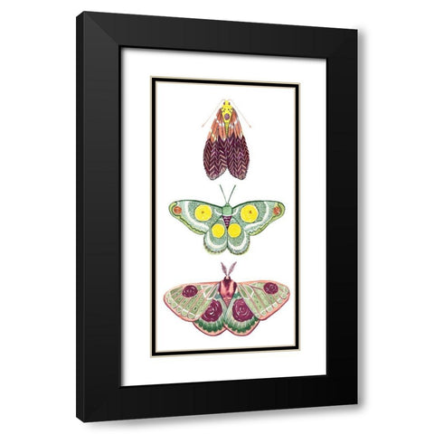 Moth Fairies I Black Modern Wood Framed Art Print with Double Matting by Popp, Grace