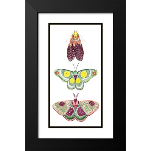 Moth Fairies I Black Modern Wood Framed Art Print with Double Matting by Popp, Grace