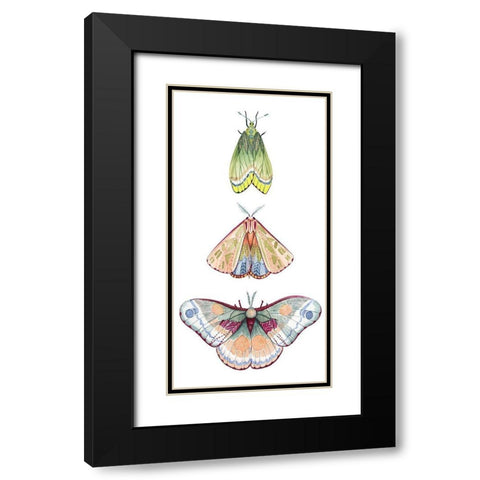 Moth Fairies II Black Modern Wood Framed Art Print with Double Matting by Popp, Grace