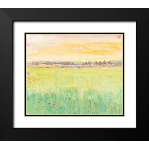 Spring Pasture II Black Modern Wood Framed Art Print with Double Matting by OToole, Tim