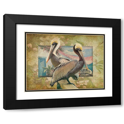 Pelican Paradise IV Black Modern Wood Framed Art Print with Double Matting by Hunziker, Steve