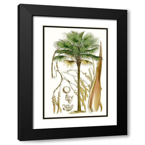 Curtis Palms I Black Modern Wood Framed Art Print with Double Matting by Curtis