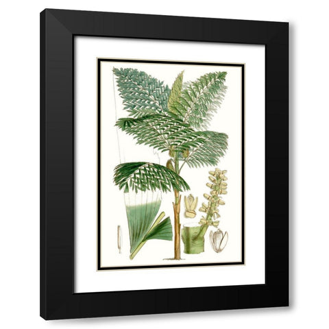 Curtis Palms II Black Modern Wood Framed Art Print with Double Matting by Curtis