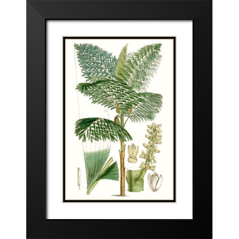 Curtis Palms II Black Modern Wood Framed Art Print with Double Matting by Curtis