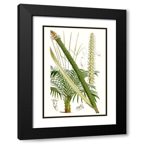 Curtis Palms III Black Modern Wood Framed Art Print with Double Matting by Curtis