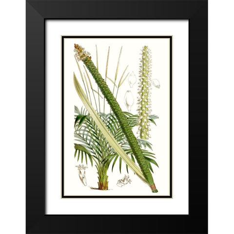 Curtis Palms III Black Modern Wood Framed Art Print with Double Matting by Curtis