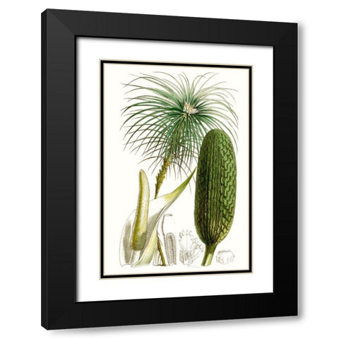 Curtis Palms IV Black Modern Wood Framed Art Print with Double Matting by Curtis