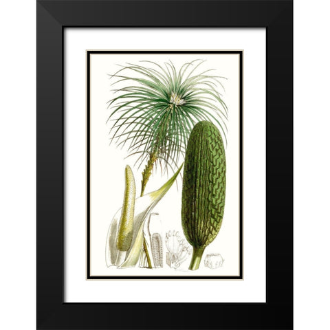 Curtis Palms IV Black Modern Wood Framed Art Print with Double Matting by Curtis