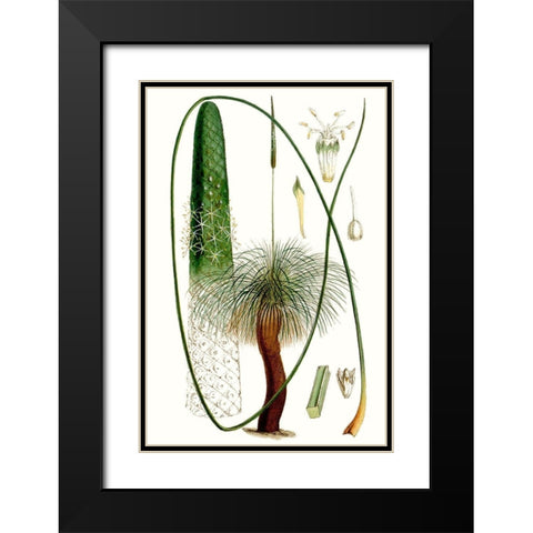 Curtis Palms V Black Modern Wood Framed Art Print with Double Matting by Curtis