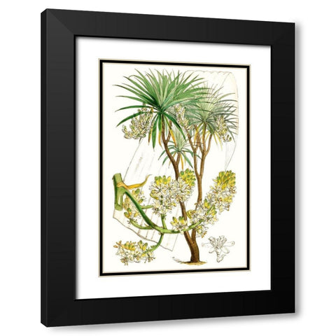 Curtis Palms VI Black Modern Wood Framed Art Print with Double Matting by Curtis