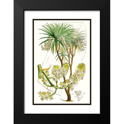 Curtis Palms VI Black Modern Wood Framed Art Print with Double Matting by Curtis