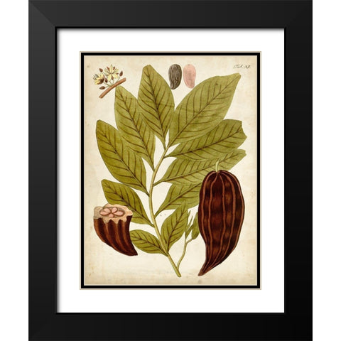Horticultural Specimen III Black Modern Wood Framed Art Print with Double Matting by Unknown