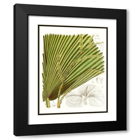 Palm Melange I Black Modern Wood Framed Art Print with Double Matting by Curtis