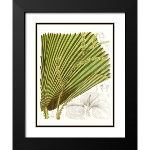 Palm Melange I Black Modern Wood Framed Art Print with Double Matting by Curtis