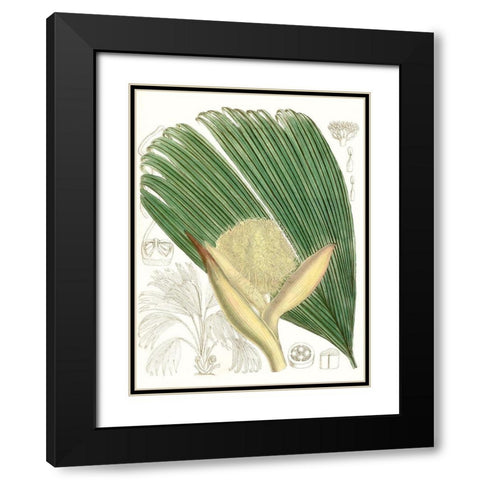 Palm Melange II Black Modern Wood Framed Art Print with Double Matting by Curtis