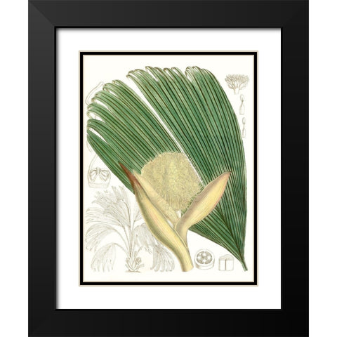 Palm Melange II Black Modern Wood Framed Art Print with Double Matting by Curtis