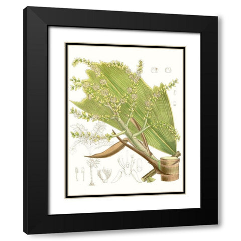 Palm Melange III Black Modern Wood Framed Art Print with Double Matting by Curtis