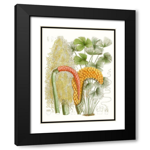 Palm Melange IV Black Modern Wood Framed Art Print with Double Matting by Curtis