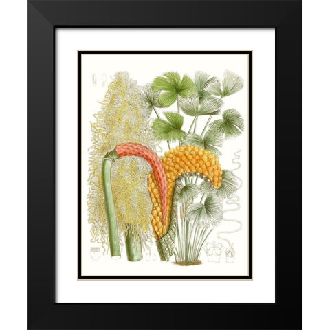Palm Melange IV Black Modern Wood Framed Art Print with Double Matting by Curtis