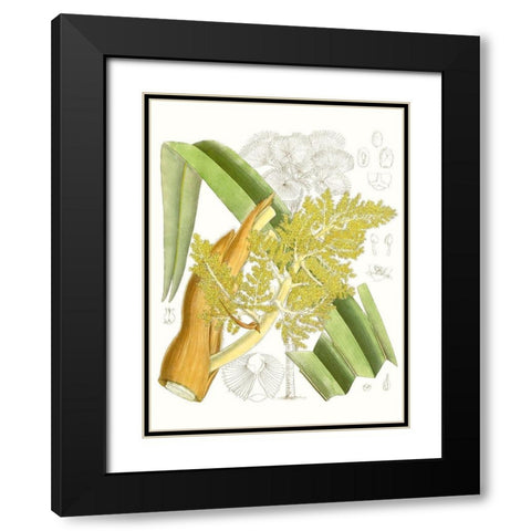 Palm Melange V Black Modern Wood Framed Art Print with Double Matting by Curtis