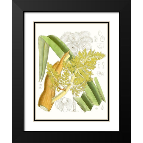 Palm Melange V Black Modern Wood Framed Art Print with Double Matting by Curtis