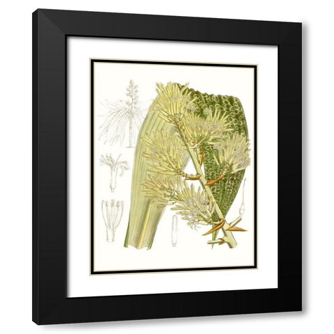 Palm Melange VI Black Modern Wood Framed Art Print with Double Matting by Curtis