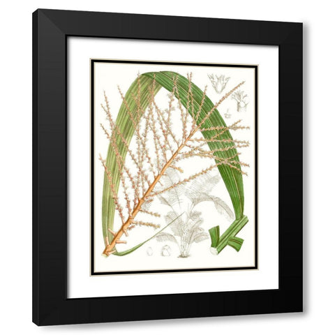 Palm Melange VII Black Modern Wood Framed Art Print with Double Matting by Curtis