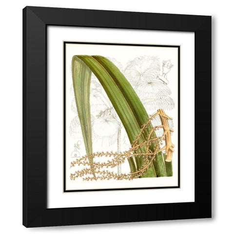 Palm Melange VIII Black Modern Wood Framed Art Print with Double Matting by Curtis