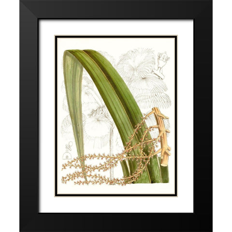 Palm Melange VIII Black Modern Wood Framed Art Print with Double Matting by Curtis