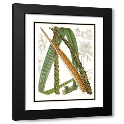 Palm Melange IX Black Modern Wood Framed Art Print with Double Matting by Curtis
