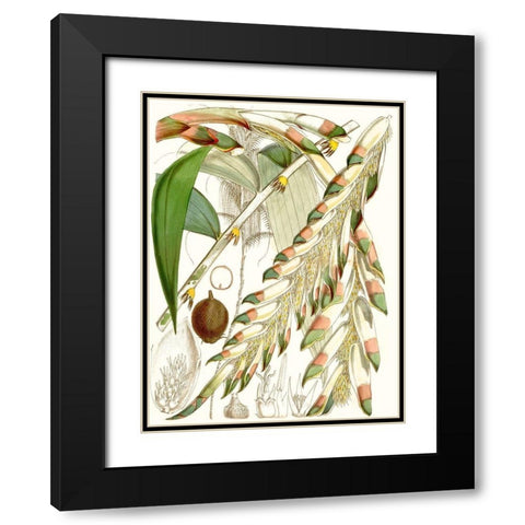 Tropical Variety I Black Modern Wood Framed Art Print with Double Matting by Curtis